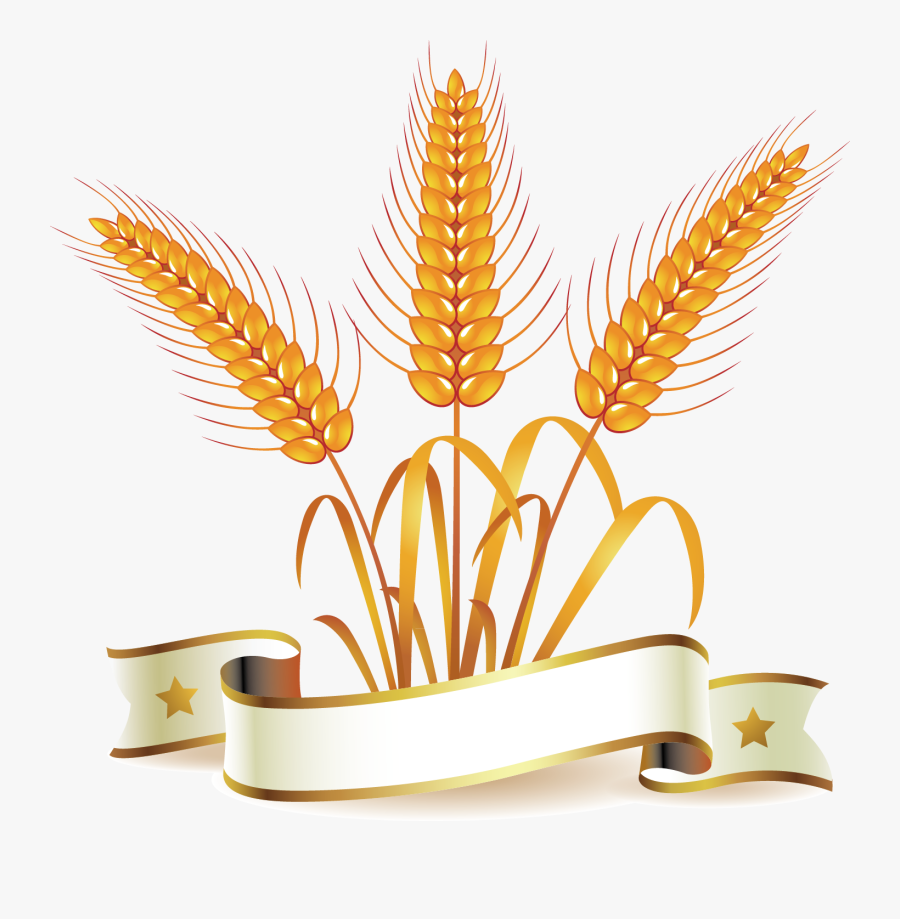 Grain Ear Huge - Gold Wheat Logo Png, Transparent Clipart