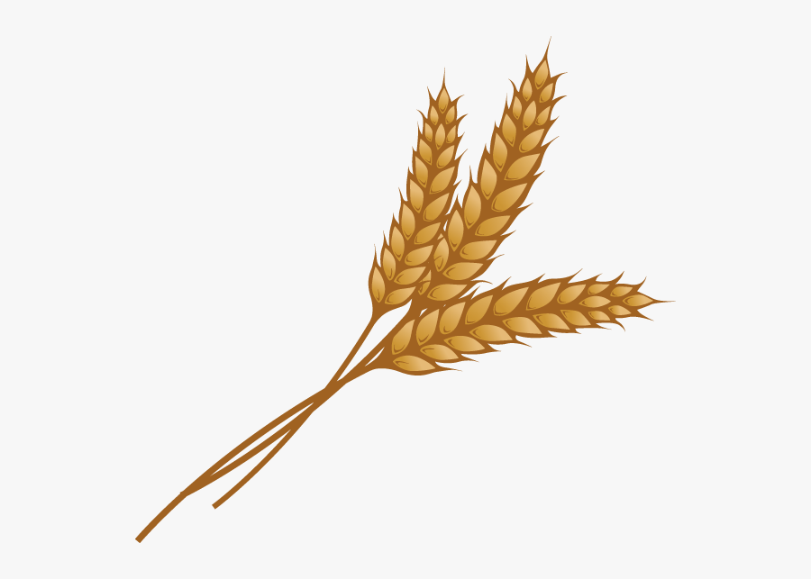 Grain Png Image, Transparent Clipart
