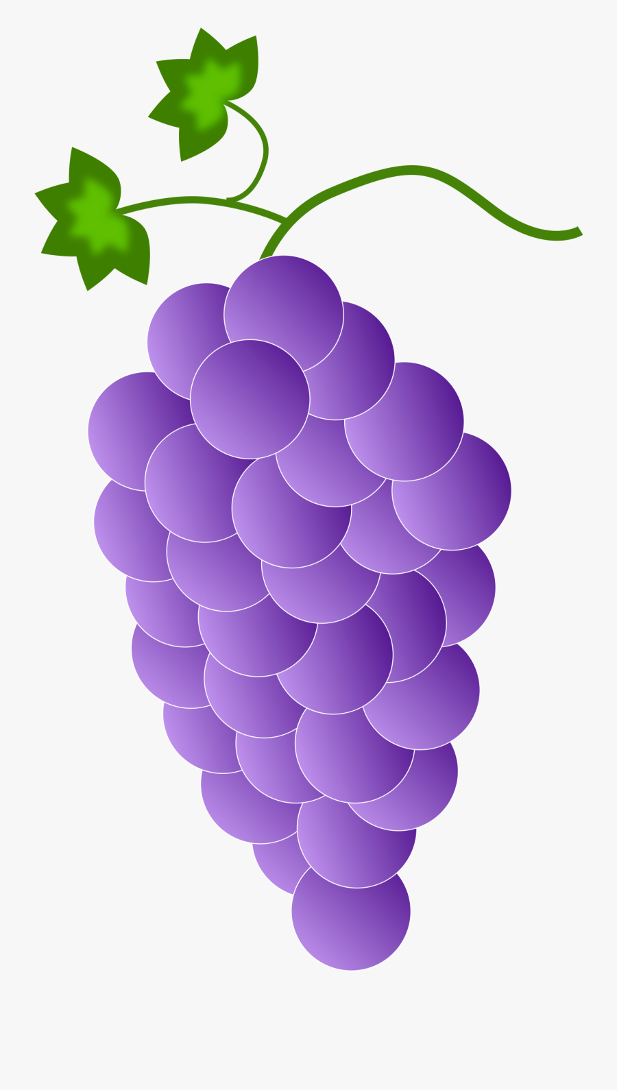 Grapes Free On Dumielauxepices - Purple Grapes, Transparent Clipart