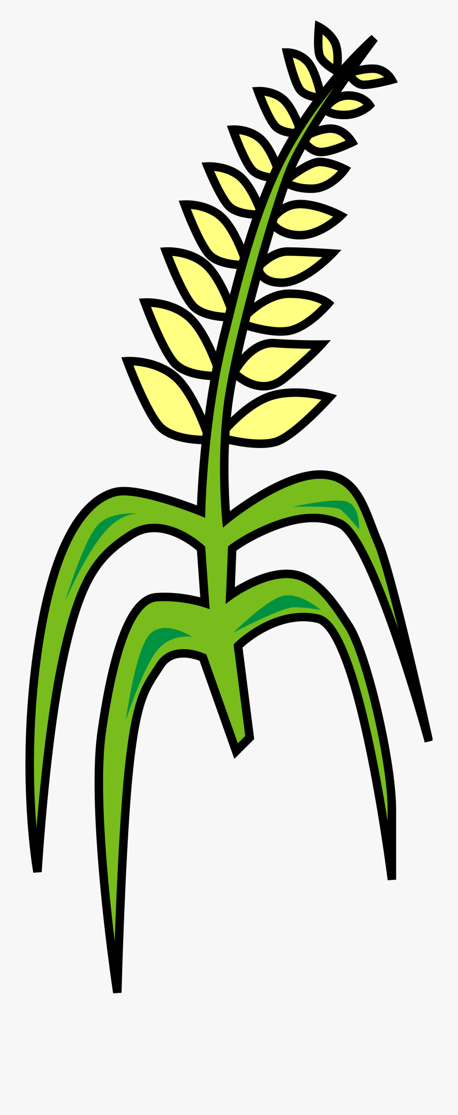 Grain Clipart, Transparent Clipart