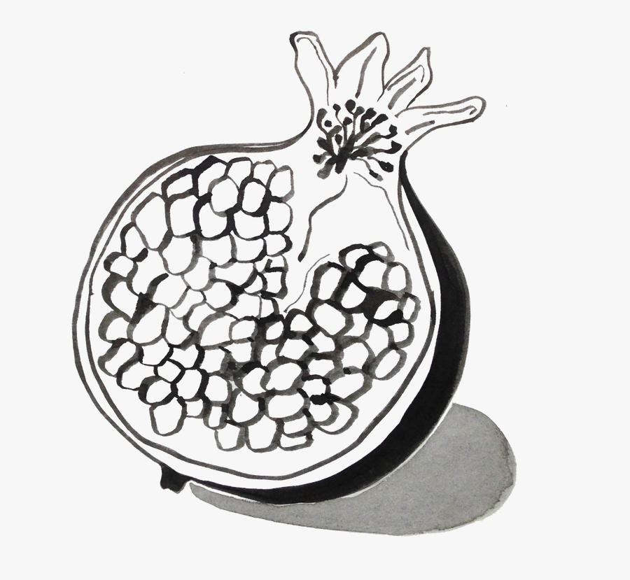 Diagram Pomegranate Drawing At Getdrawings