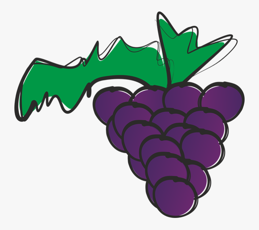 รูป ผล ไม้ ลาย เส้น องุ่น, Transparent Clipart