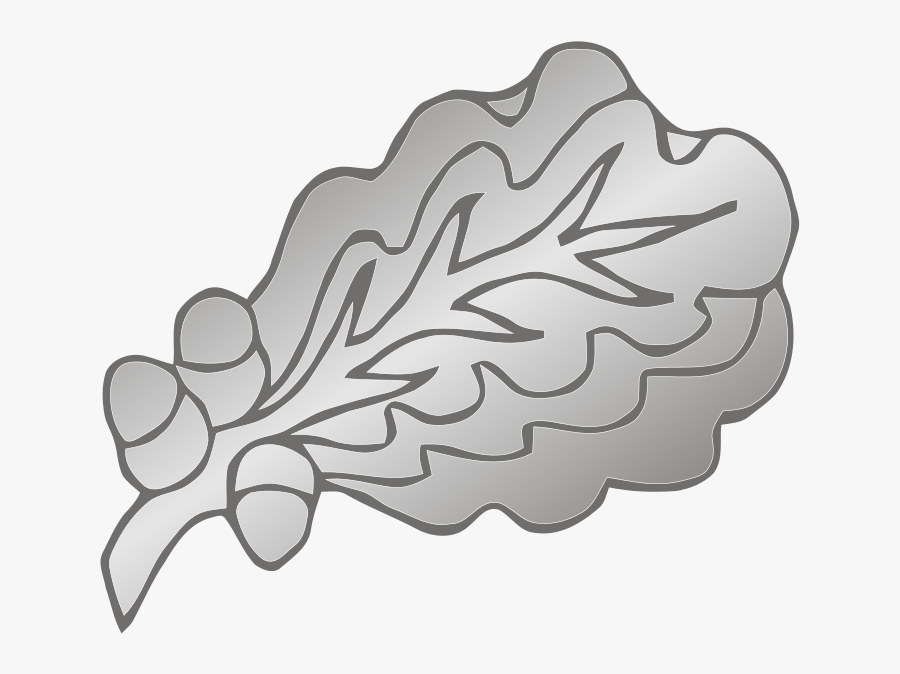 282 × 240 Pixels - Oak Leaf Cluster Png, Transparent Clipart