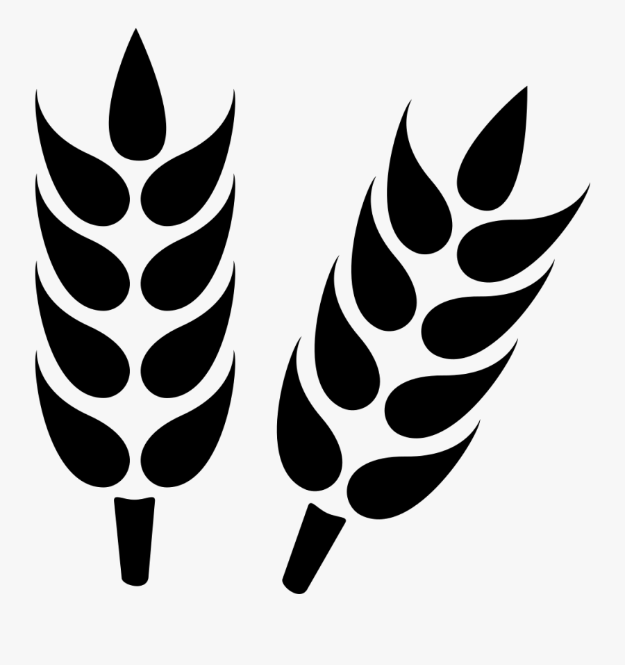 Grain Close Up Svg - Agriculture Icon Png, Transparent Clipart