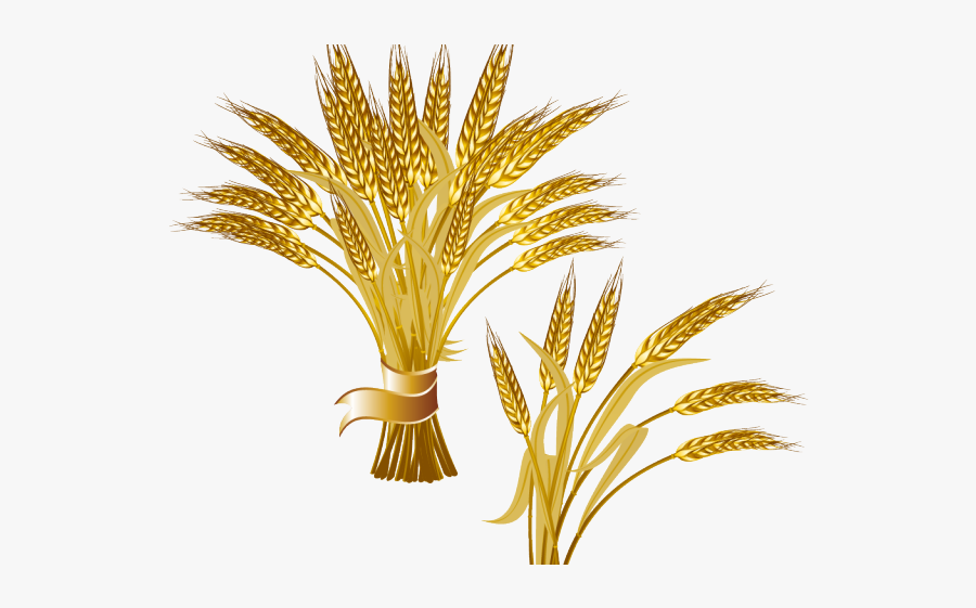 Clipart Transparent Background Wheat, Transparent Clipart