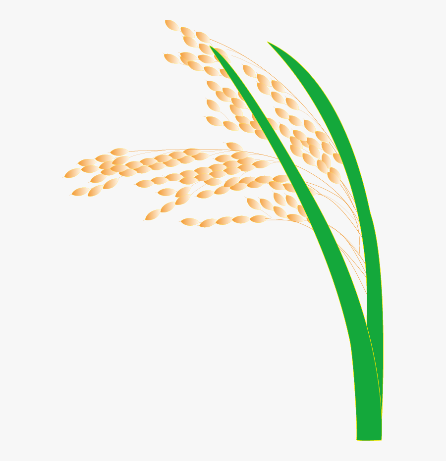 Transparent Rice Grains Clipart - Transparent Rice Grain Clipart, Transparent Clipart