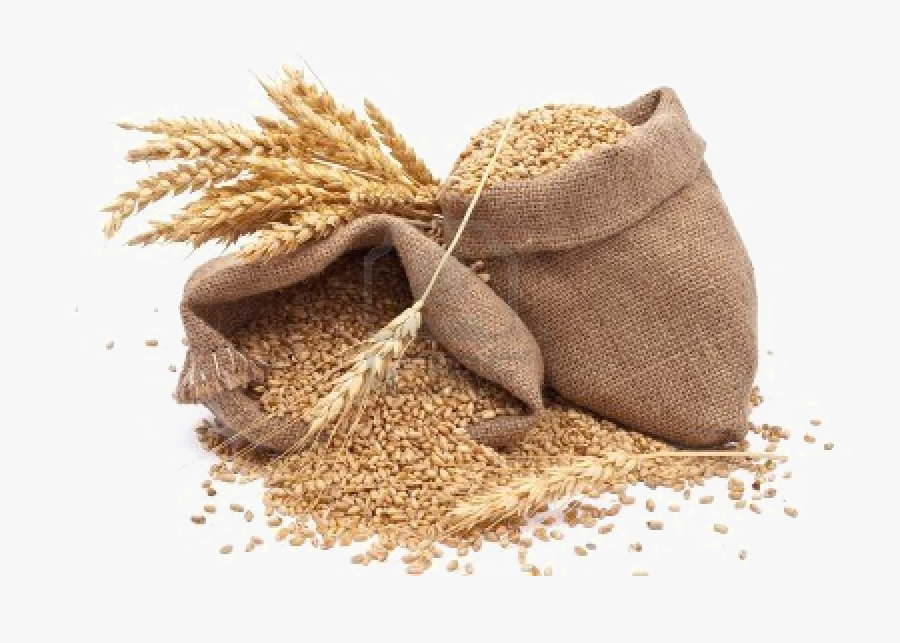 Grain Png Photos - Source Of Energy Giving Food, Transparent Clipart