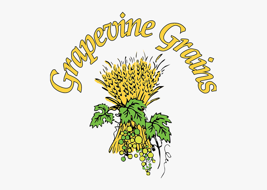 Grain Clipart Oatmeal - Illustration, Transparent Clipart