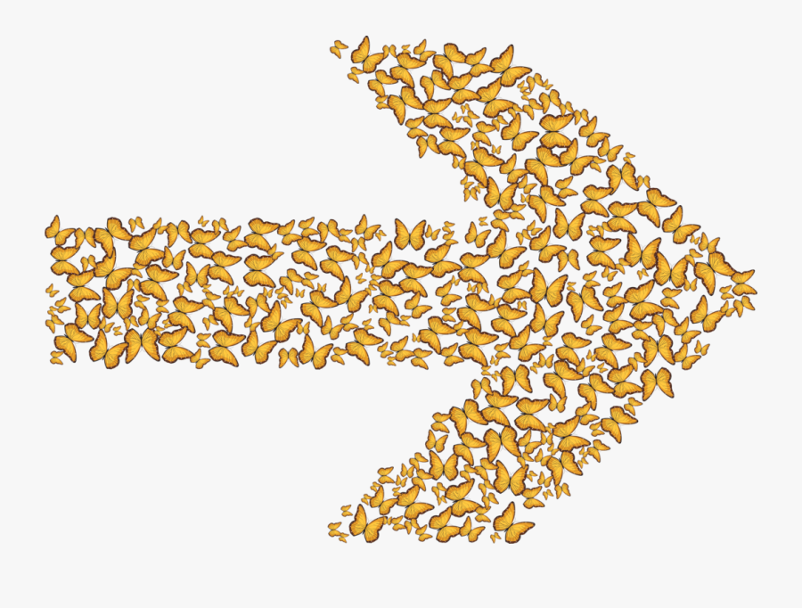 Grass Family,commodity,food Grain, Transparent Clipart