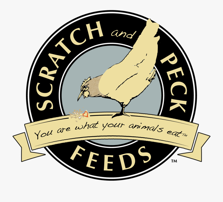 Clip Art Peck Feeds Certified B - Scratch And Peck, Transparent Clipart