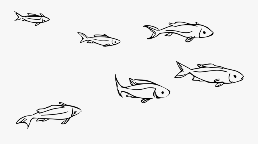 Animal, Fish, Ocean, Ocean Theme, River, Sea - School Of Fish Clipart Black And White, Transparent Clipart