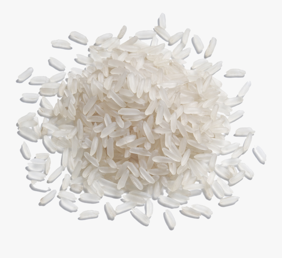 Rice Grains Clipart Transparent Png Hd Grain Rice Clip Art Rice My