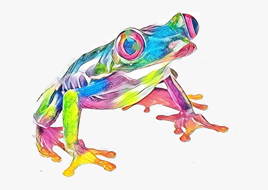 Imageedit 34 - Frog, Transparent Clipart