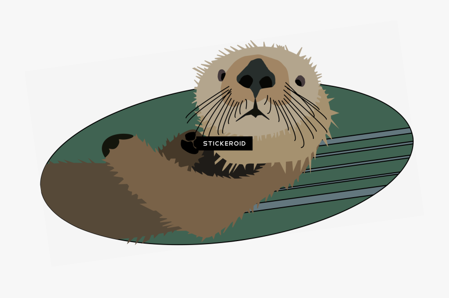 Transparent Otter Png - Sea Otter Clipart Transparent Background, Transparent Clipart