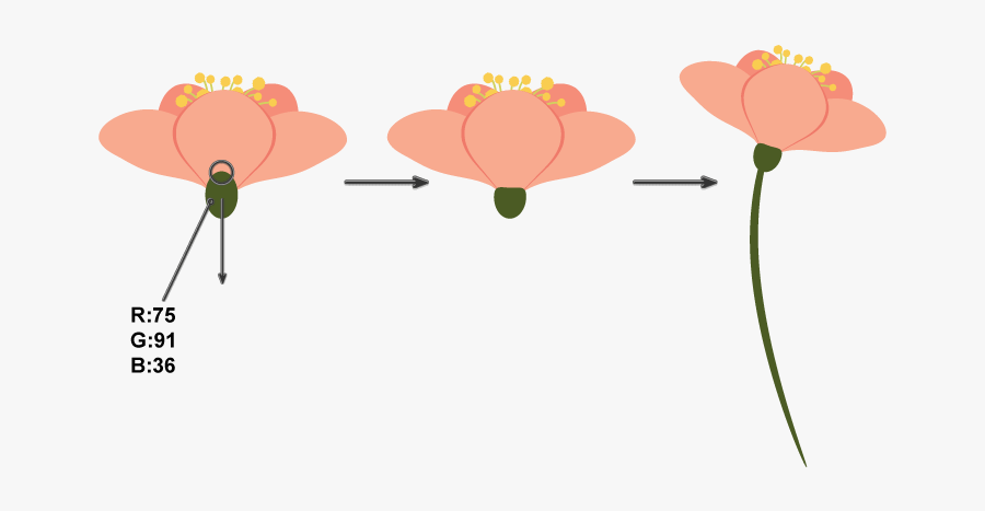 How To Create An Illustration Of A Starling On A Branch - Illustration, Transparent Clipart