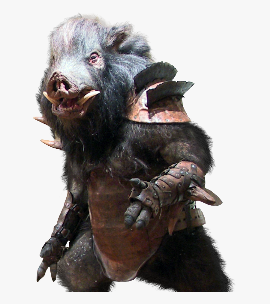 Clip Art Minoboar Team Mirror Pinterest - Animals Chronicle Of Narnia, Transparent Clipart