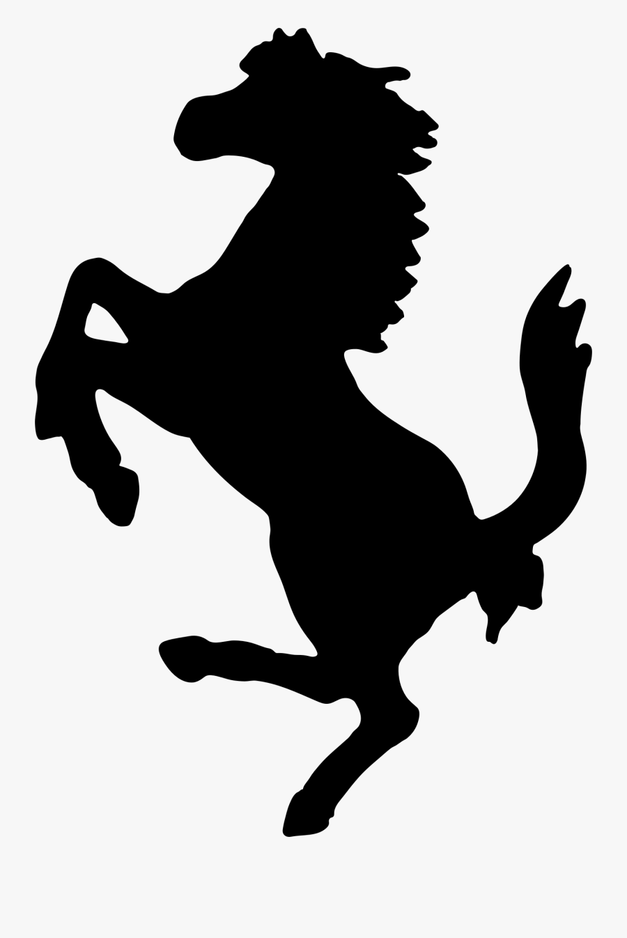 Photography, Transparent Clipart