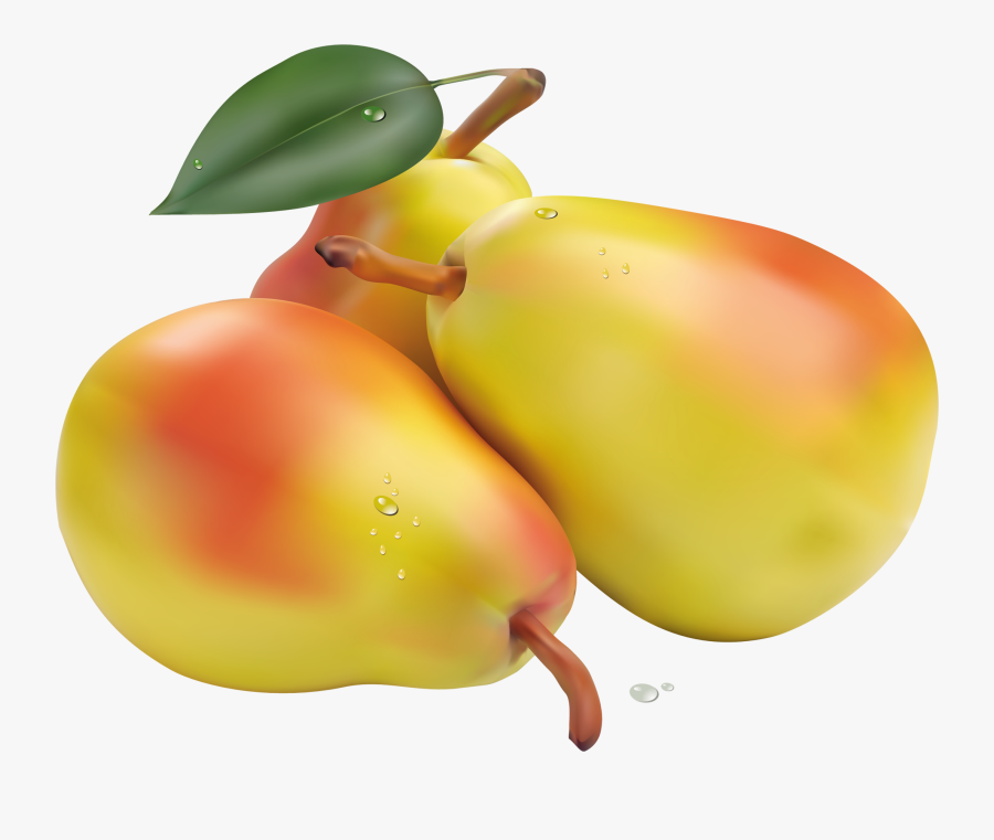 Pears Png Clipart Picture - Pears Clipart, Transparent Clipart