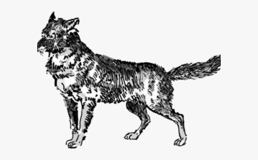 Ecological Pyramid Of Indonesia, Transparent Clipart