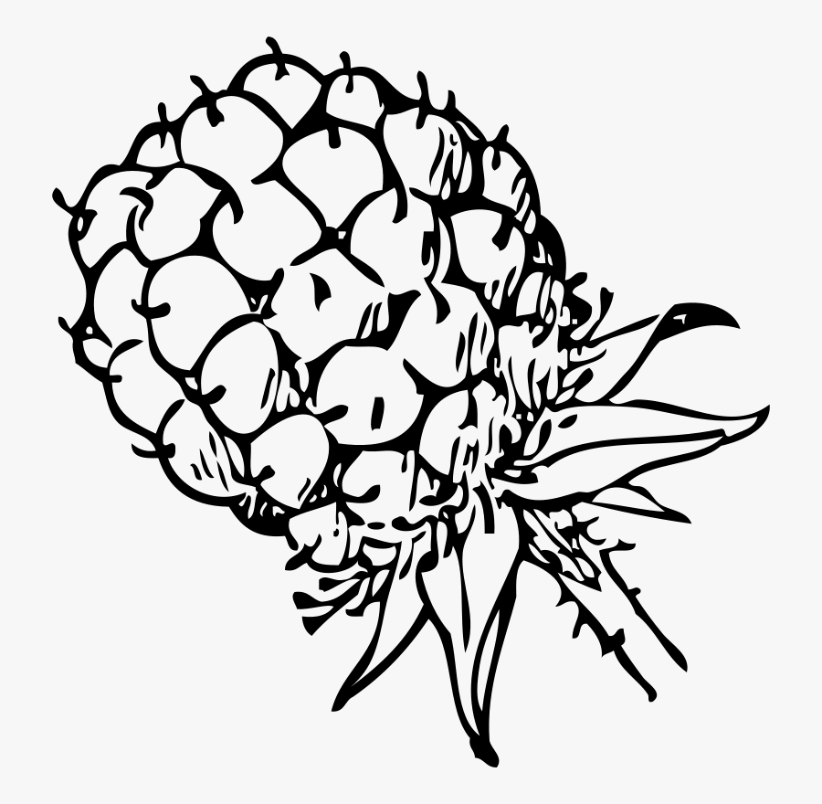 Blackberry 1 - Blackberry Clip Art, Transparent Clipart