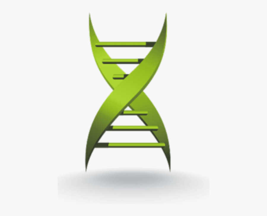 Lifestyle Changes Reduce The Need For Blood Pressure - Medical Xpress, Transparent Clipart