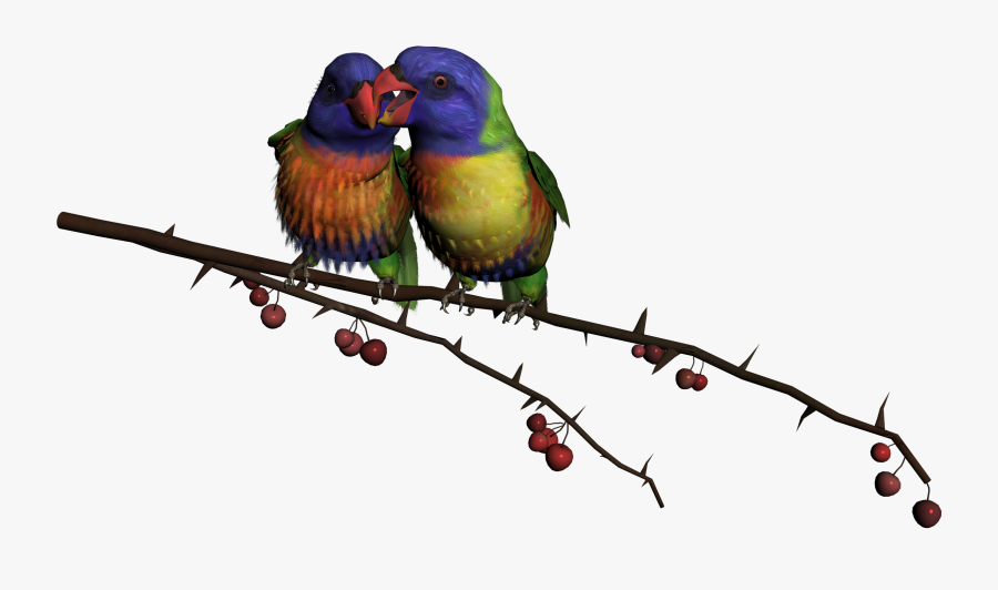 Png Bird By Thoartispixel On Clipart Library - Birds On A Branch Png, Transparent Clipart