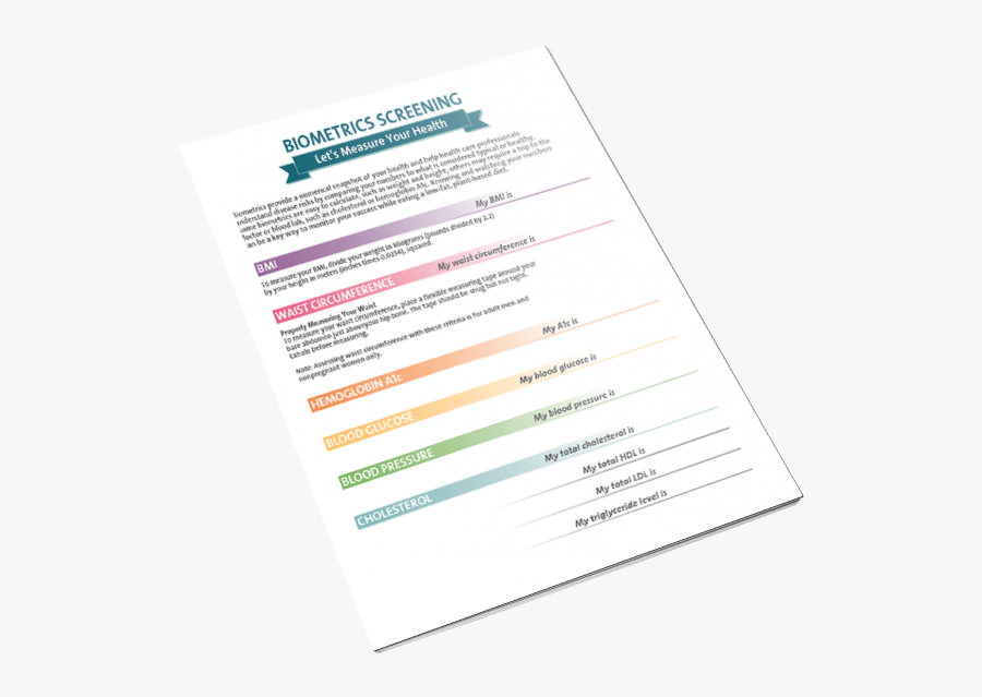 Brochure, Transparent Clipart