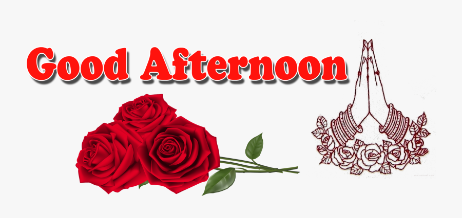 Transparent Good Afternoon Clipart - Good Afternoon Png, Transparent Clipart