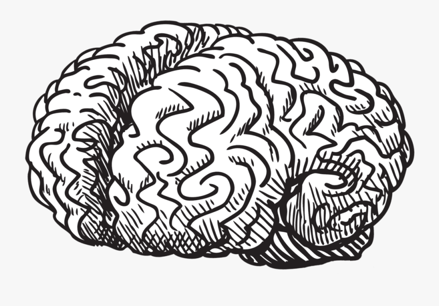 Brain Clipart Doodle - Brain Doodle No Background, Transparent Clipart