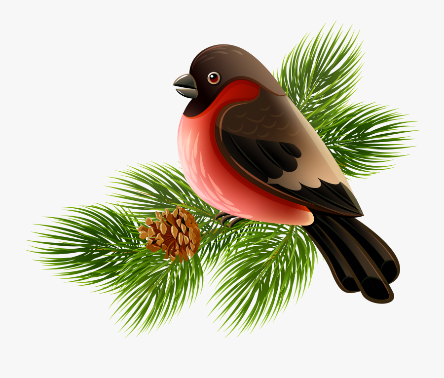 Bird And Pine Branch Png Clipart Image - Birds Clipart In Branch, Transparent Clipart