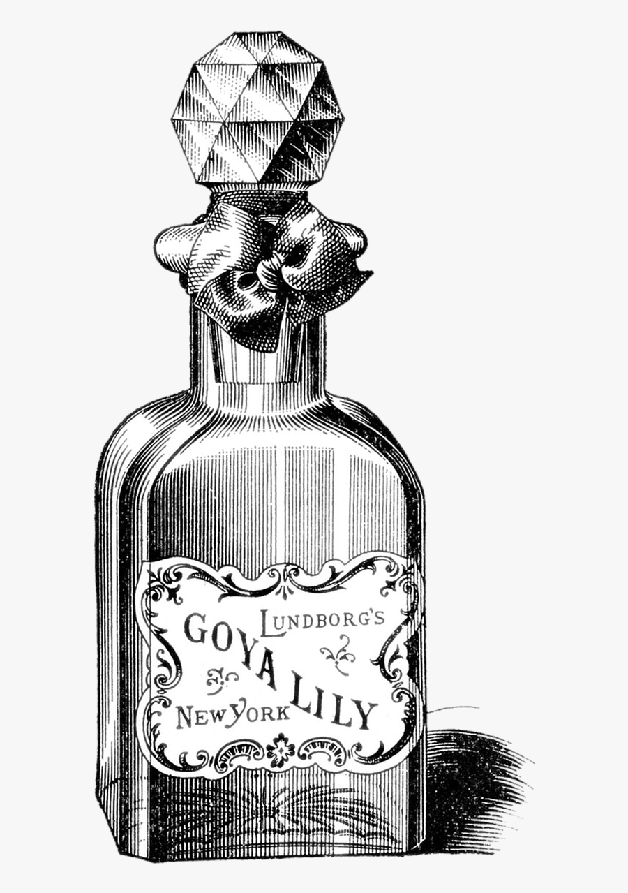 Free Image On Pixabay - Vintage Poison Bottle Illustration, Transparent Clipart