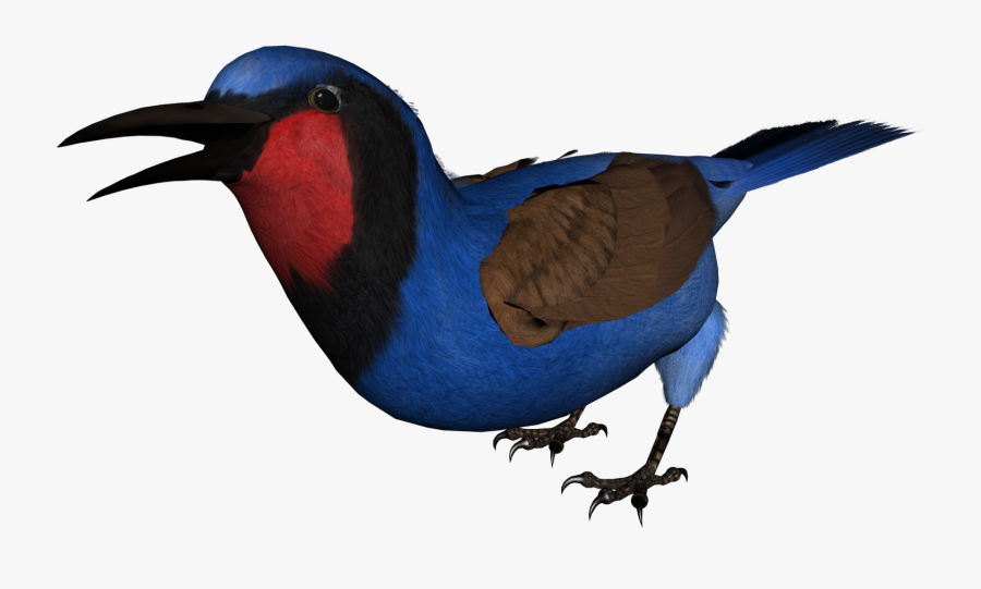 Free High Resolution Graphics And Clip Art - European Swallow, Transparent Clipart