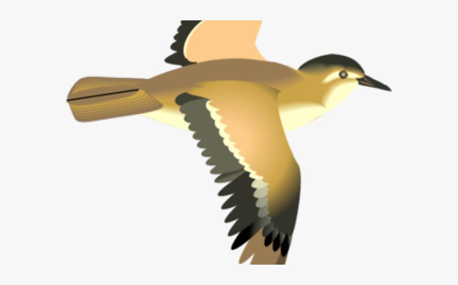 Flying Birds Clipart - Flying Bird Cartoon Png, Transparent Clipart