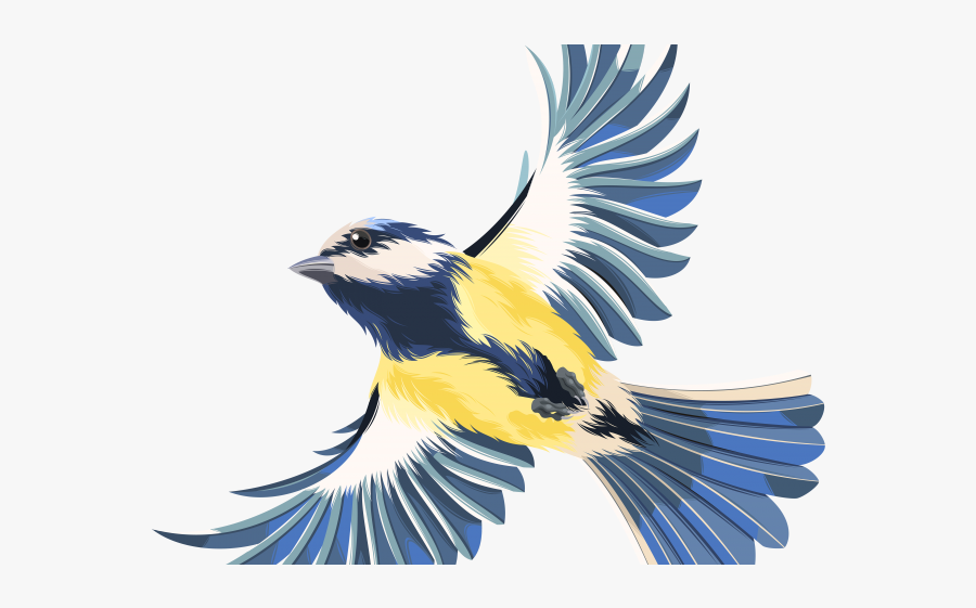 Flying Transparent Bird Clipart, Transparent Clipart
