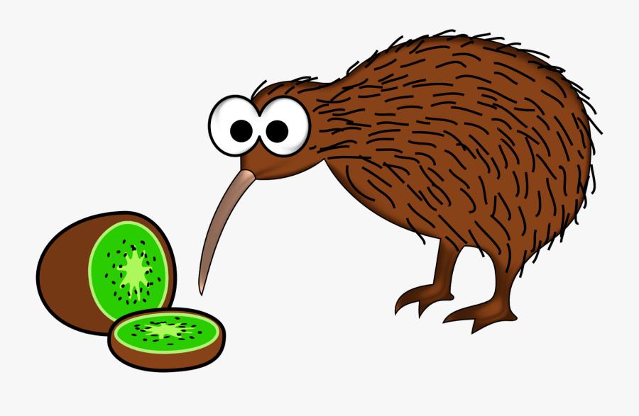 Bird Common Ostrich Clip Art - Kiwis From New Zealand, Transparent Clipart