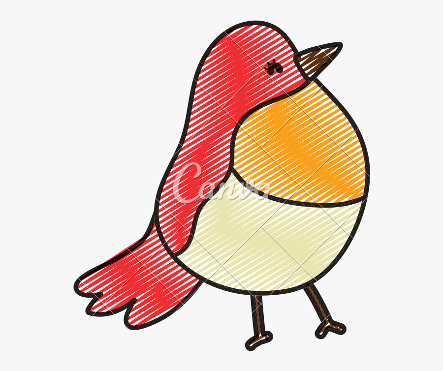 Doodle Beauty Tropical Bird Exotic Animal - Cartoon, Transparent Clipart