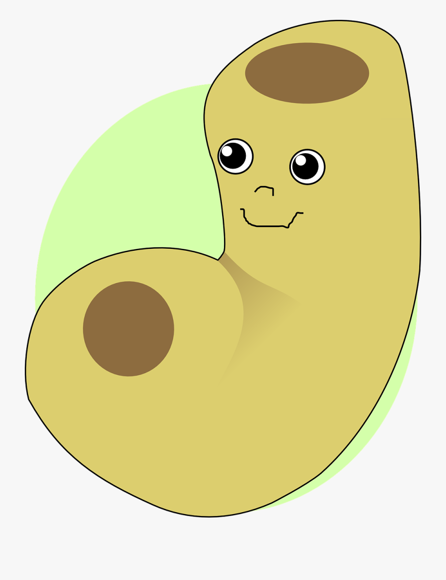 Transparent Macaroni Png - Macaroni Noodle Clipart, Transparent Clipart