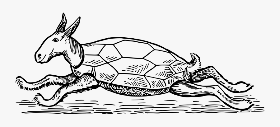 Donkey,art,hare - Turtle Goat, Transparent Clipart
