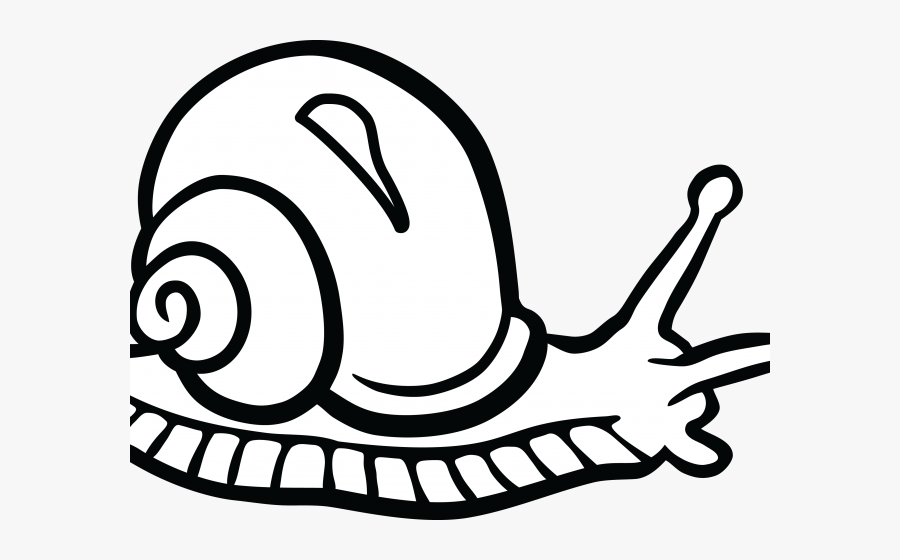 Snail Black And White Clipart, Transparent Clipart