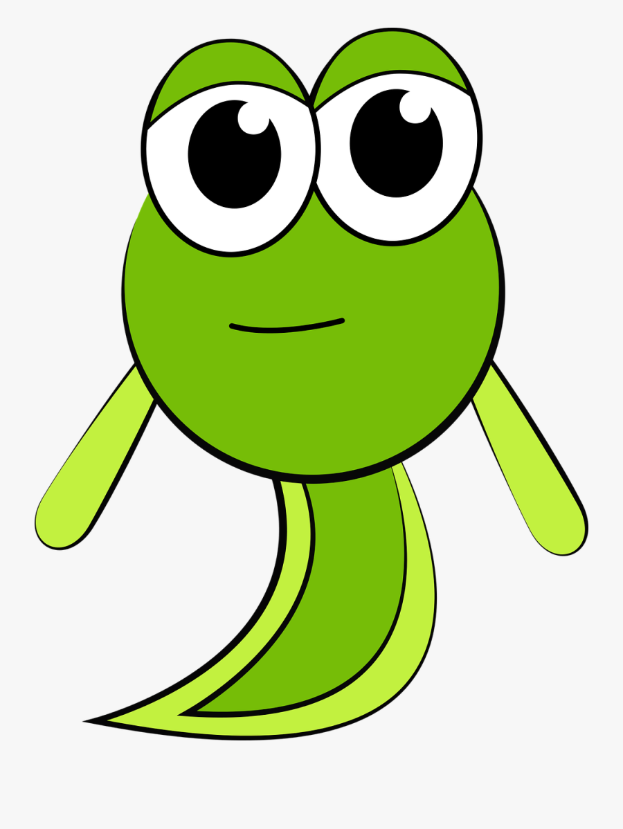 Thumb Image - Drawing Tadpole, Transparent Clipart