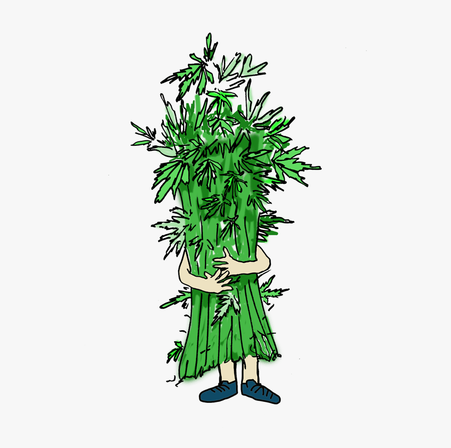 Illustration, Transparent Clipart
