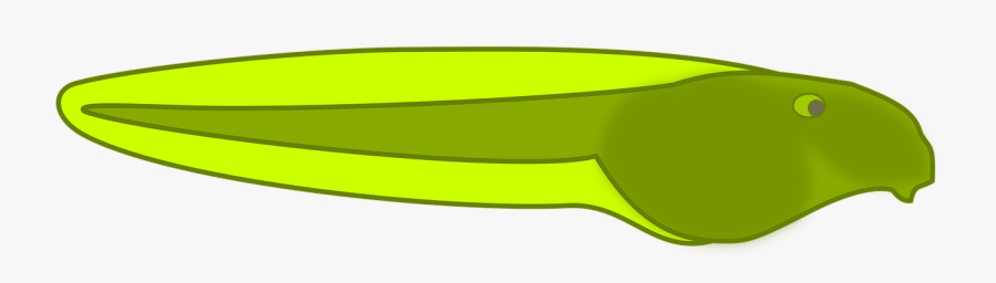 Thumb Image - Canoe, Transparent Clipart