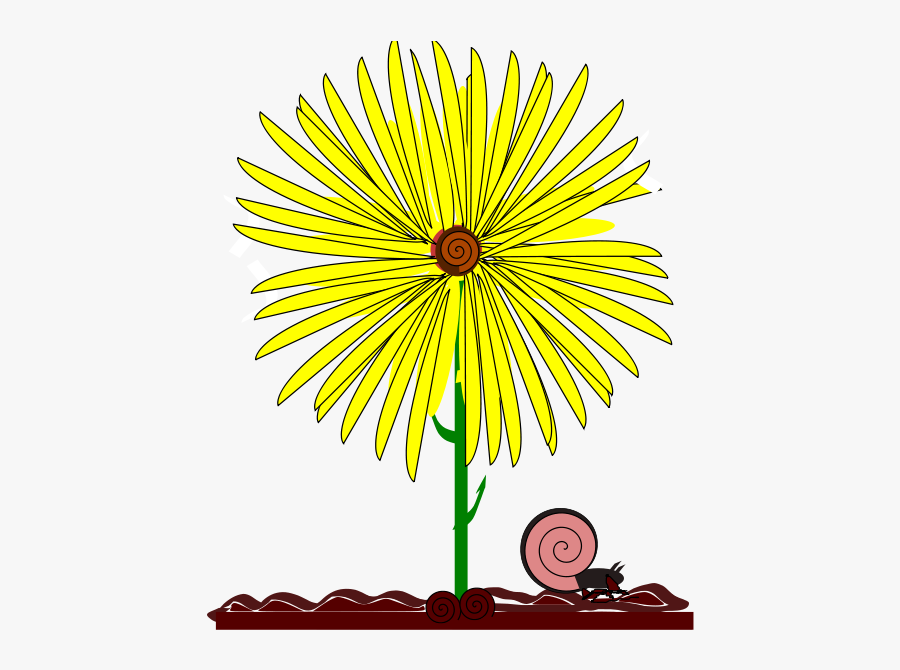 Yellow Flower And Snail - Illustration, Transparent Clipart