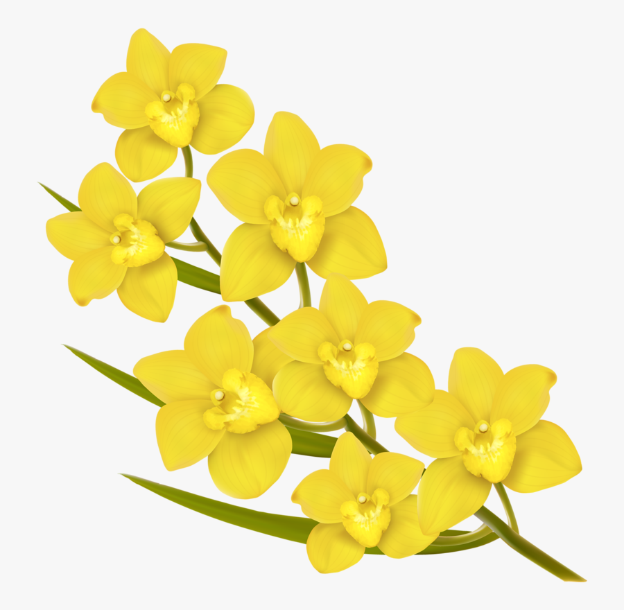 Yellow Flowers Vector Png, Transparent Clipart