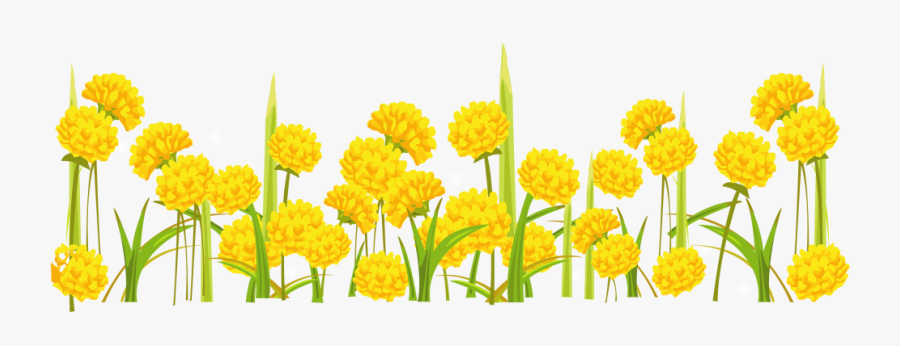 Free Png Dandelion Png Images Transparent - Transparent Background Yellow Transparent Flowers, Transparent Clipart