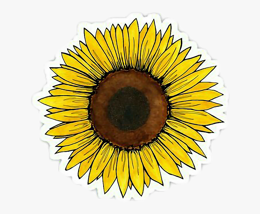 Yellow Flower Clipart Tumblr Transparent - Sunflower Sticker, Transparent Clipart