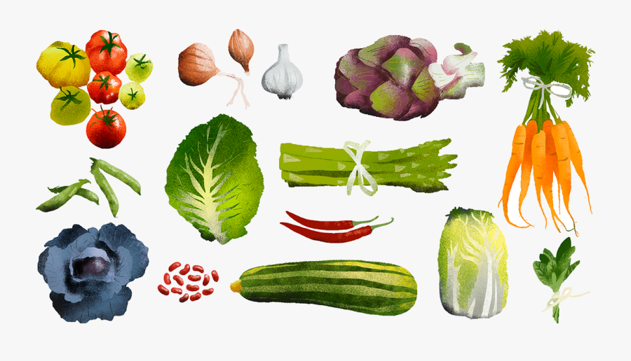 Transparent Zucchini Clipart - Illustration, Transparent Clipart