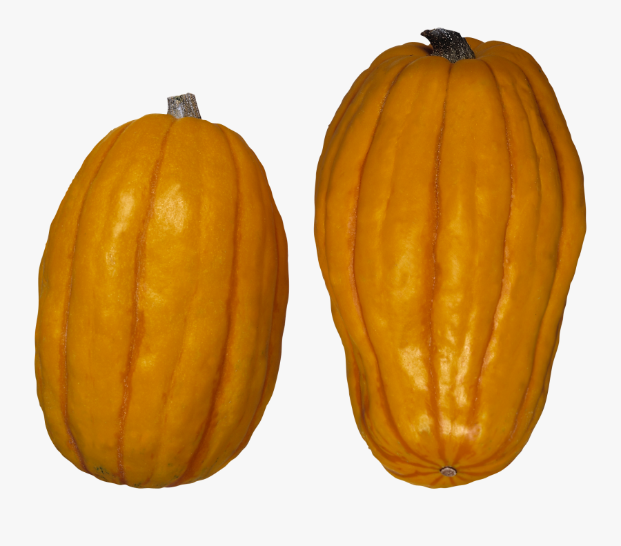 Transparent Pumpkin Background Clipart - Winter Squash, Transparent Clipart