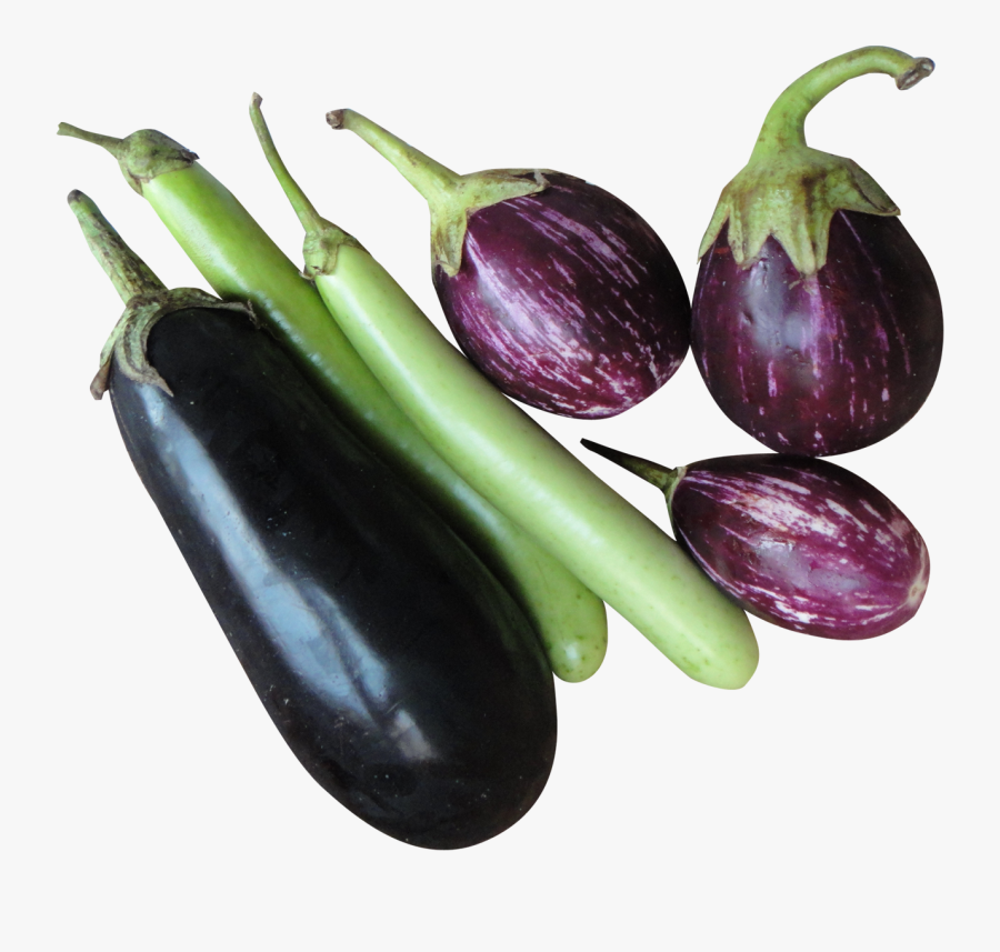 Brinjal Png, Transparent Clipart