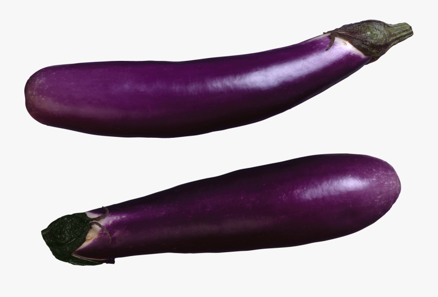 Eggplant Clipart For Printable To - One Long Eggplant, Transparent Clipart